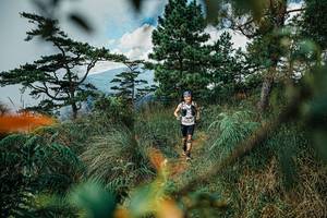 BIB: 
                            <button type="button" onclick="openModal(25258302)" class="btn btn-primary btn-sm float-right btn-popup" data-toggle="modal" data-target=".modal-high-quality">
                        <i class="fas fa-shopping-cart"></i> Add to Cart
                    </button>
                                            <button type="button" onclick="isThisMe(25258302, true)" class="btn btn-success btn-sm float-right btn-popup btn-isme hidden" data-toggle="tooltip" data-placement="bottom" title="นี่คือรูปของคุณใช่ไหม คลิกที่นี่เพื่อเอาเข้าอัลบั้ม">
                        <i class="fas fa-plus"></i> Add to album
                    </button>
                    <button type="button" onclick="isThisMe(25258302, false)" class="btn btn-warning btn-sm float-right btn-popup btn-isnotme hidden">
                        <i class="fas fa-ban"></i> Remove from album
                    </button>